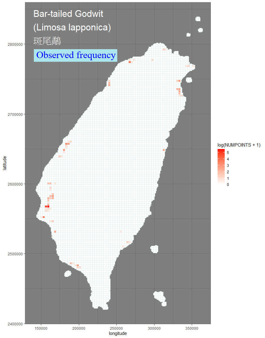 Anas platyrhynchos